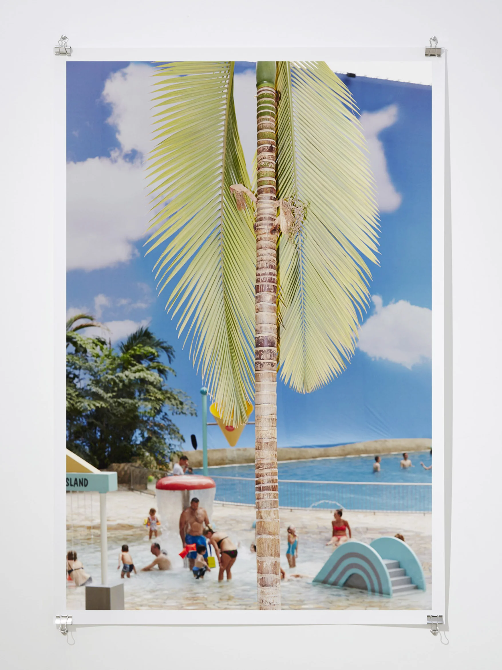 Palmenhaus , 2015 Digital C-Type Print 119 x 81 cm