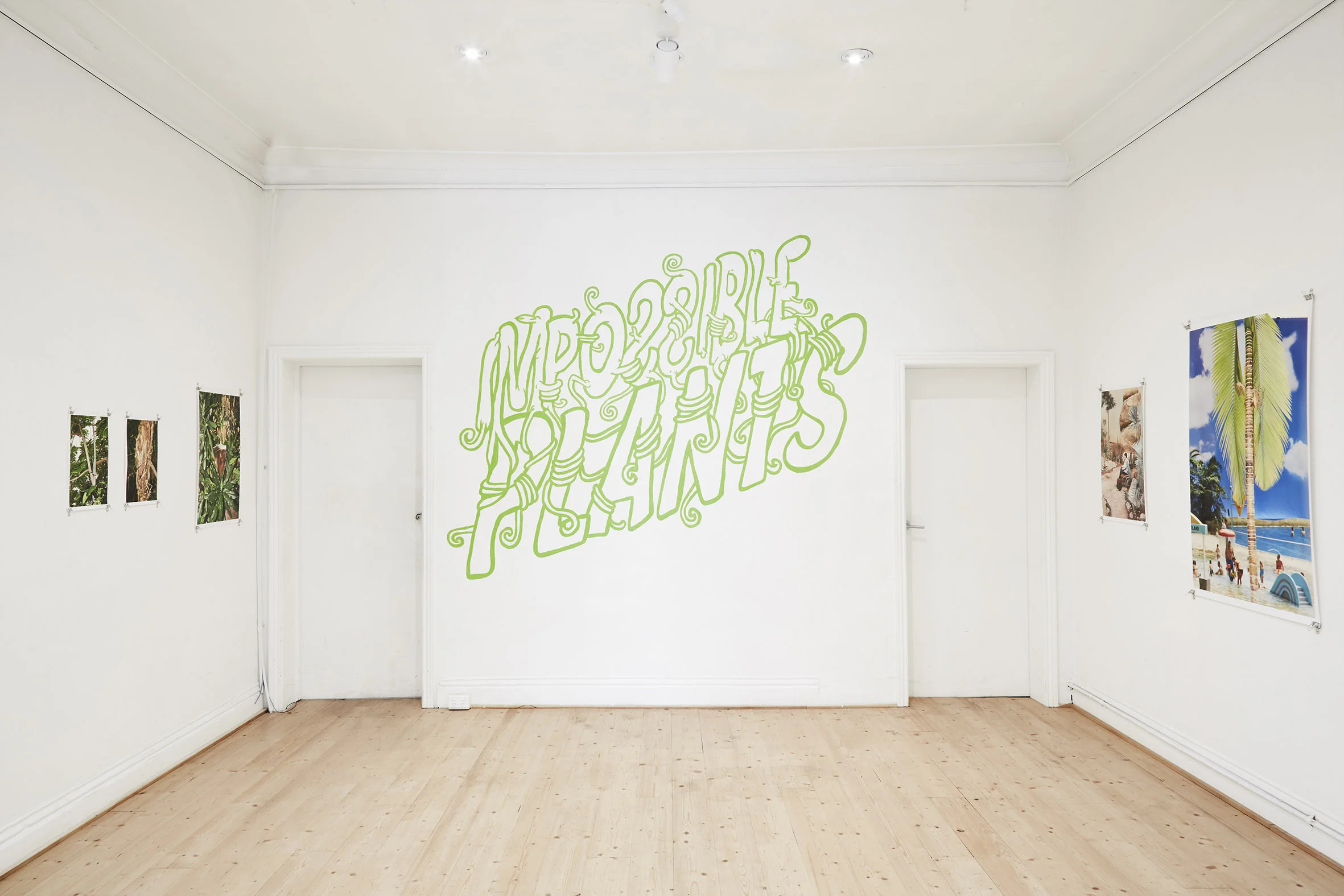 Impossible Plants installation view
