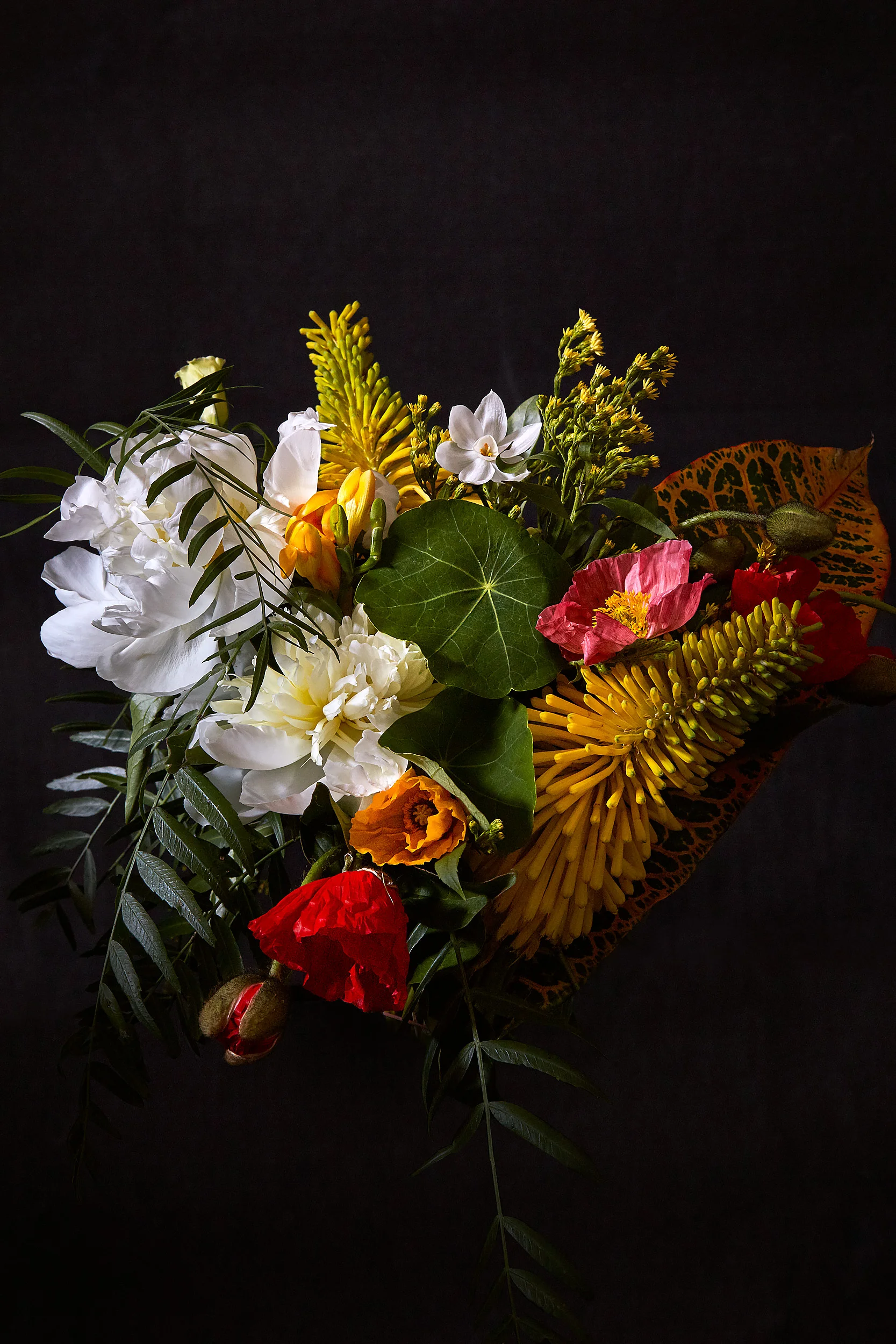 ©_Henry_Trumble-SN-Flowers-09.jpg