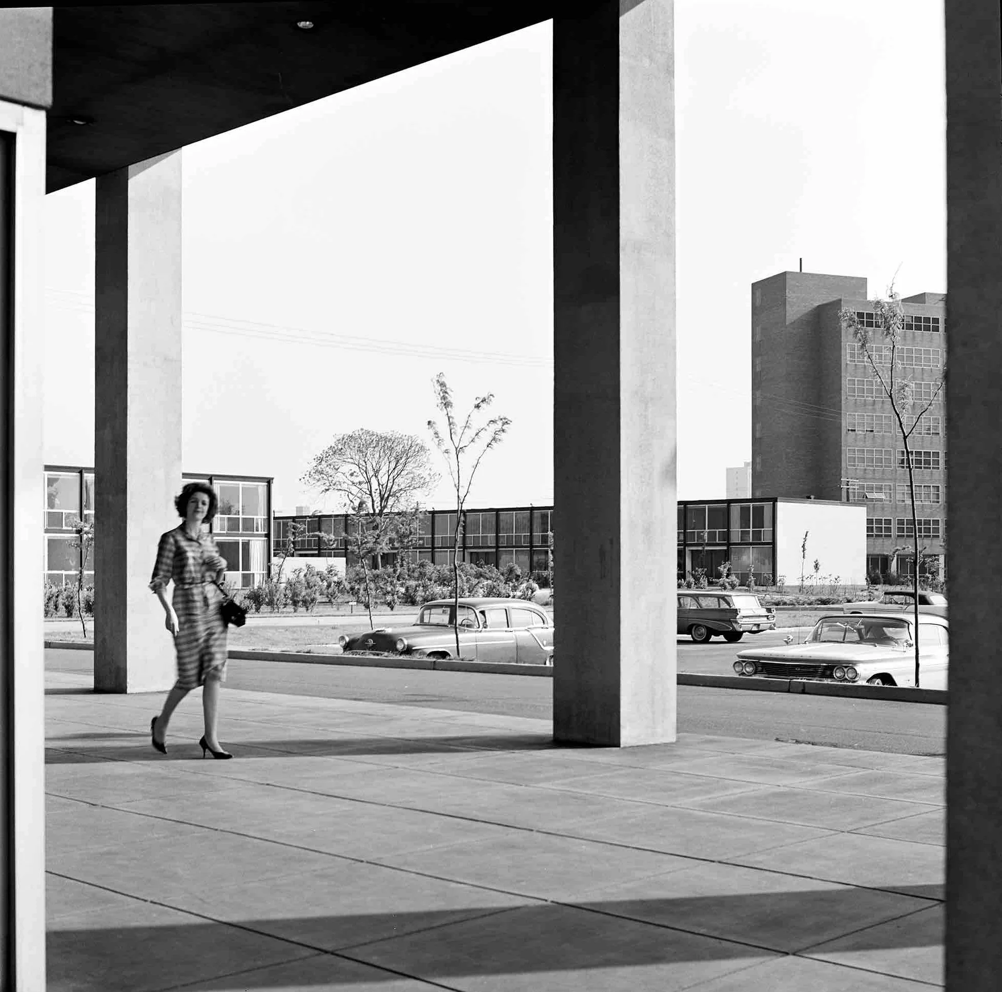 1956.Mies_Lafayette_120bn387 FPO.jpg