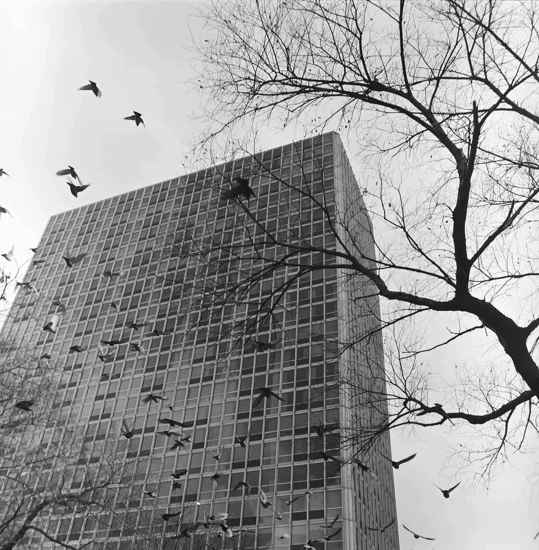 Ludwig Mies van der Rohe, Pavilion & Colonnade Apartments (Newark, NJ) 1960