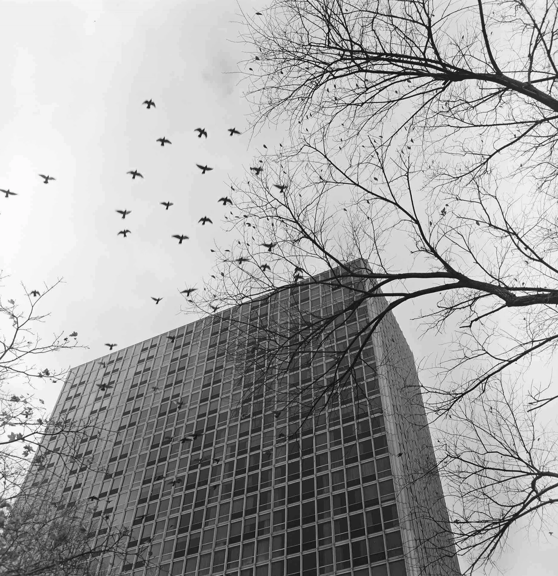 Ludwig Mies van der Rohe, Pavilion & Colonnade Apartments (Newark, NJ) 1960