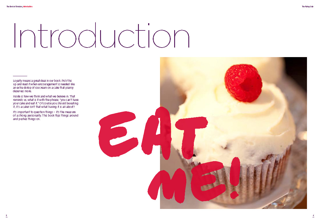 Brand_Book_Page_04.jpg