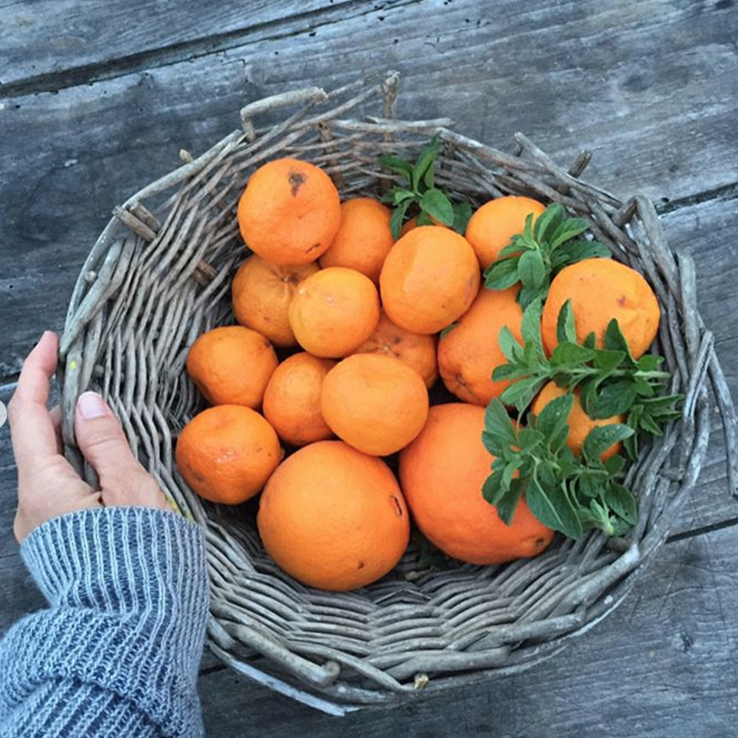 Awaken Your Senses {Mini-Pilgrimage Day 2}