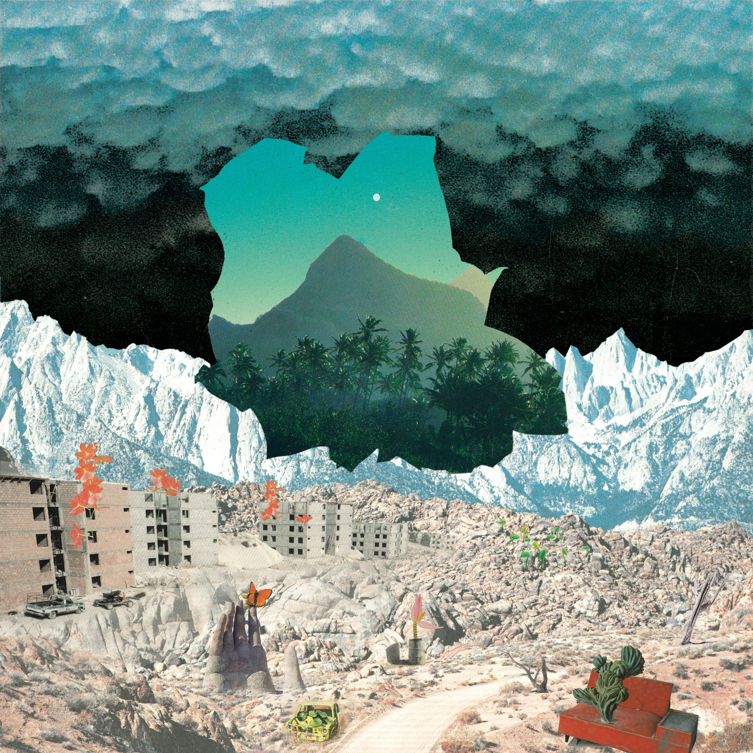 Rewilding Album Art 2019