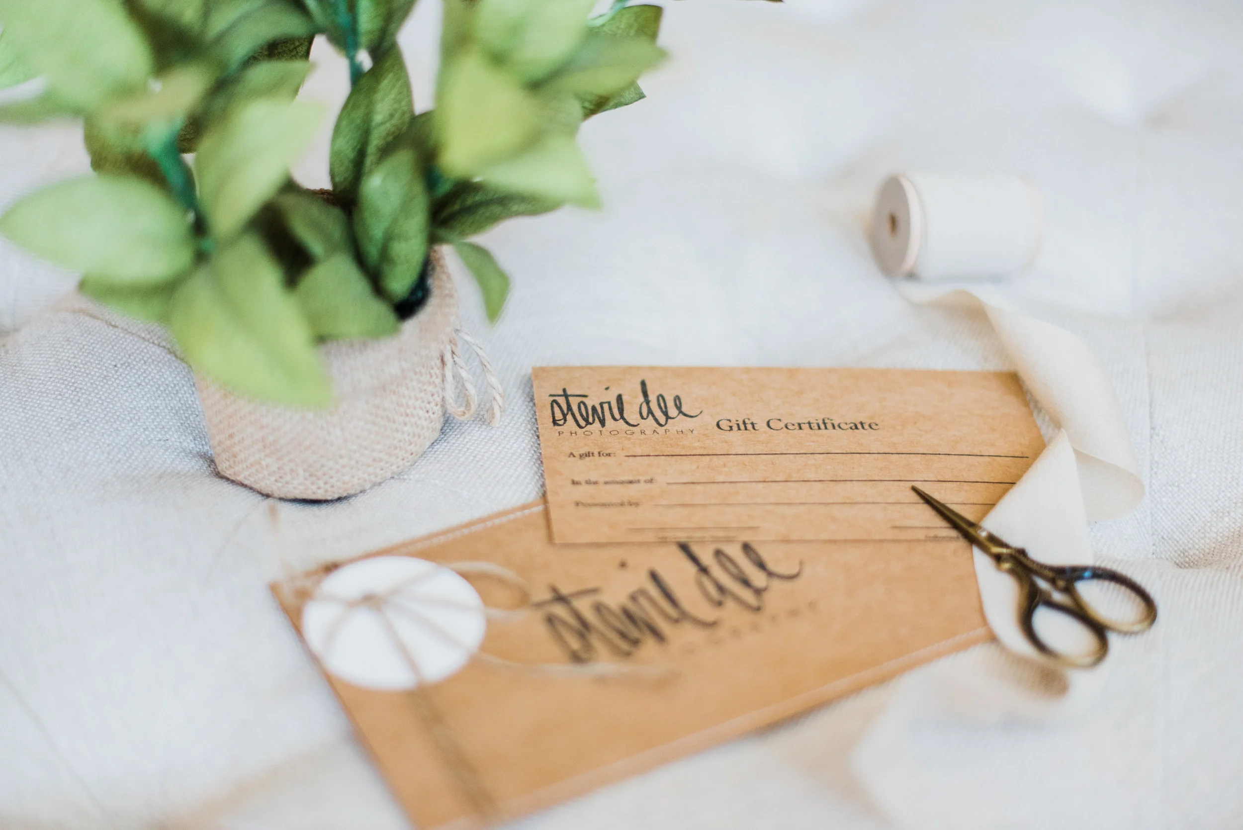 Premium Portrait Gift Certificate 