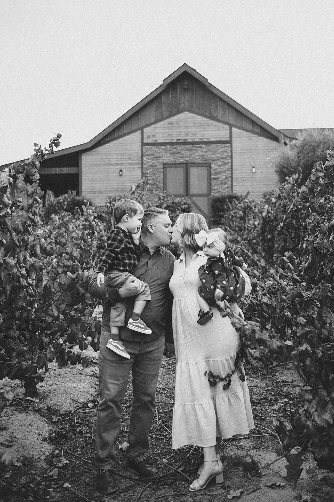 Dawson Family || Fall Family Photos || Longshadow Ranch Winery || Stevie Dee Photography