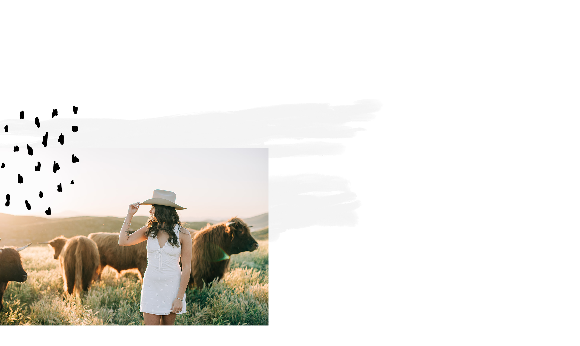 home_header copy.png