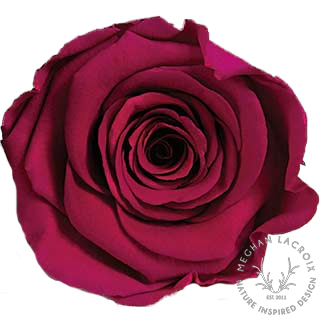 Preserved Rose - Hot Pink.png