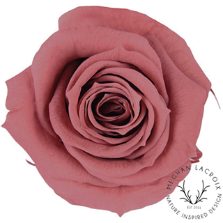 Preserved Rose - Smokey Pink.png