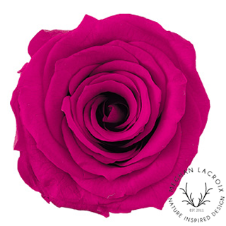 Preserved Rose - Rouge Pink.png