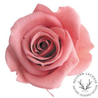 Preserved Rose - Pink Opal.png