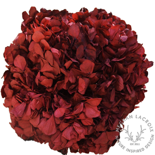 Preserved Hydrangeas - Burgundy.png