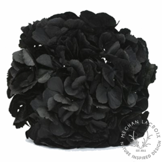 Preserved Hydrangeas - Black.png