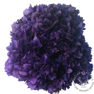 Preserved Hydrangeas - Purple.png