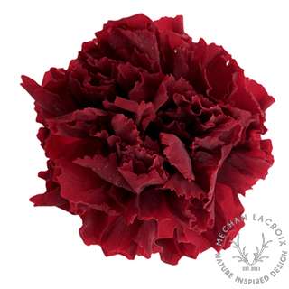 Preserved Carnations - Wine.png