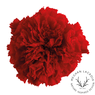 Preserved Carnations - Red.png