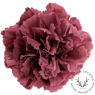Preserved Carnations - Cranberry.png