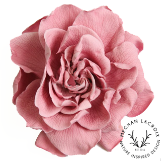 Preserved Gardenias - Pink.png