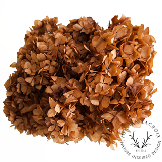 Preserved Hydrangeas - Chocolate.png