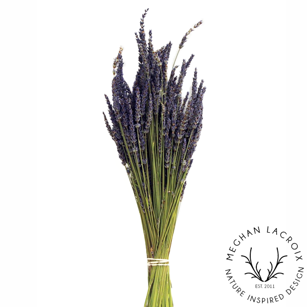 Preserved Lavender.png