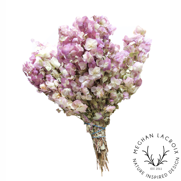 Preserved Kent Beauty Oregano.png