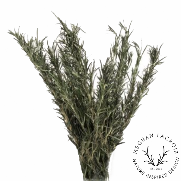 Preserved Rosemary.png