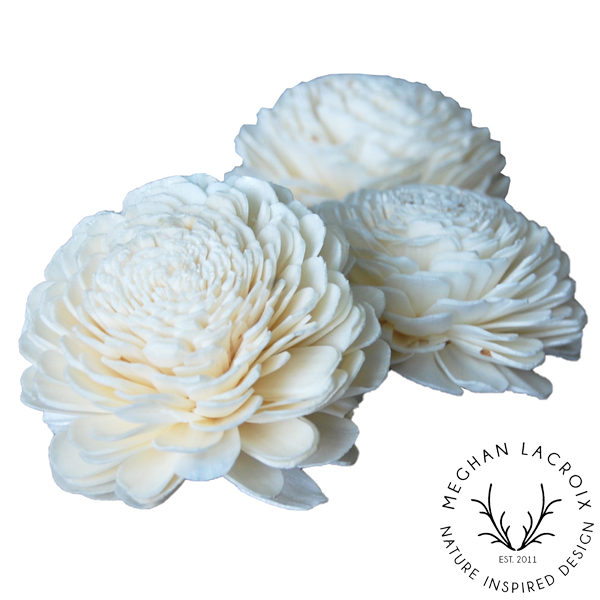 Sola Flowers.png