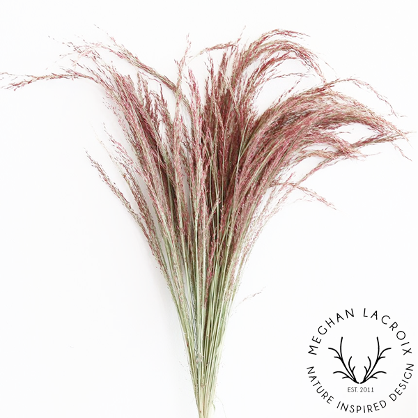 Preserved Red Silk Grass.png