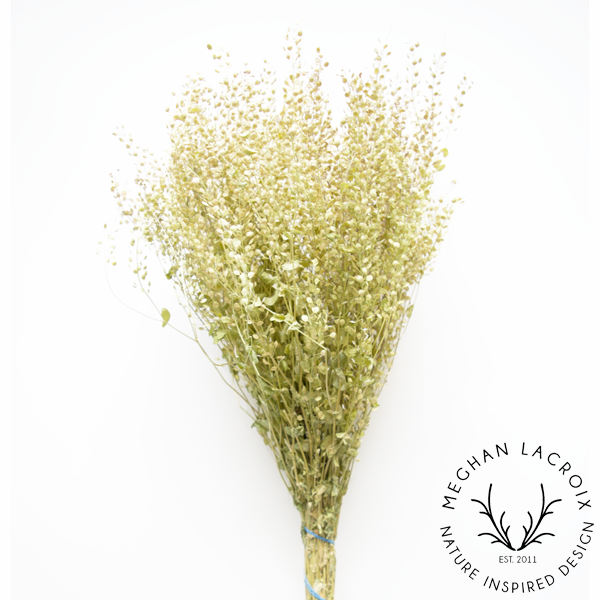 Preserved Peppergrass.png