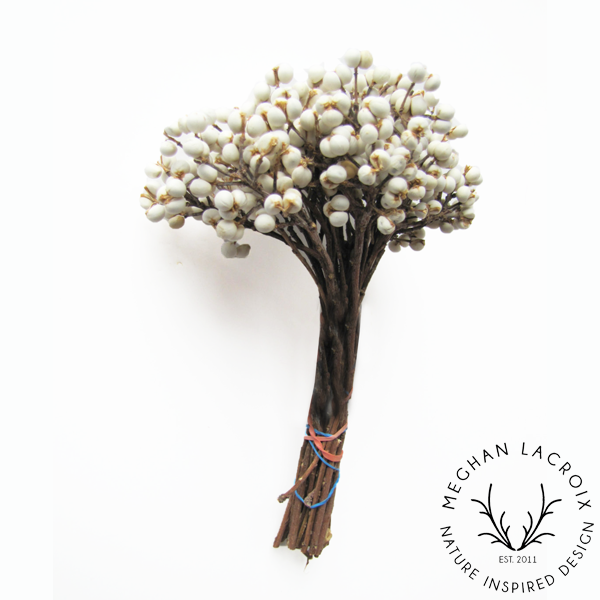 Tallow Berries.png