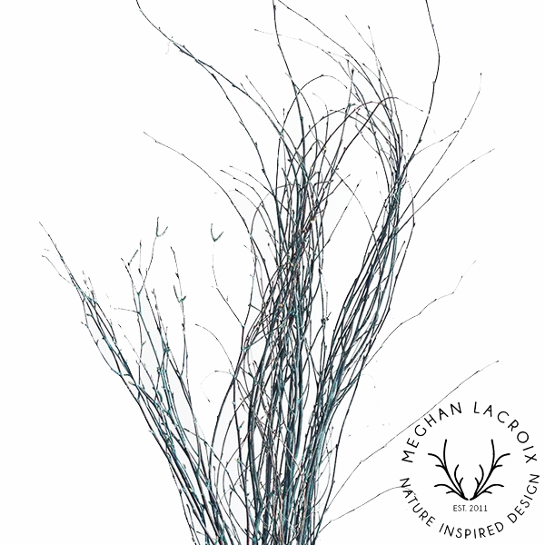 Preserved Birch Branches - Blue.png