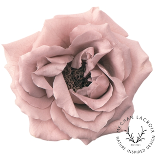 Preserved Rose (Noisette) - Mauve Pink.png