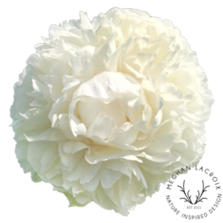 Preserved Peonies.png