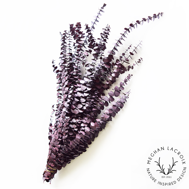 Preserved Spiral Eucalyptus - Plum.png