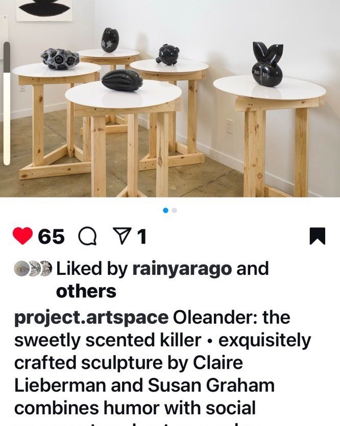 Last week of Oleander:the sweetly scented killer! @project.artspace through Fri. 99 Madison Ave, 8th fl @29th St. lustrous, edgy. Fragility, danger. Come check it out.#contemporarysculpture #nygallery