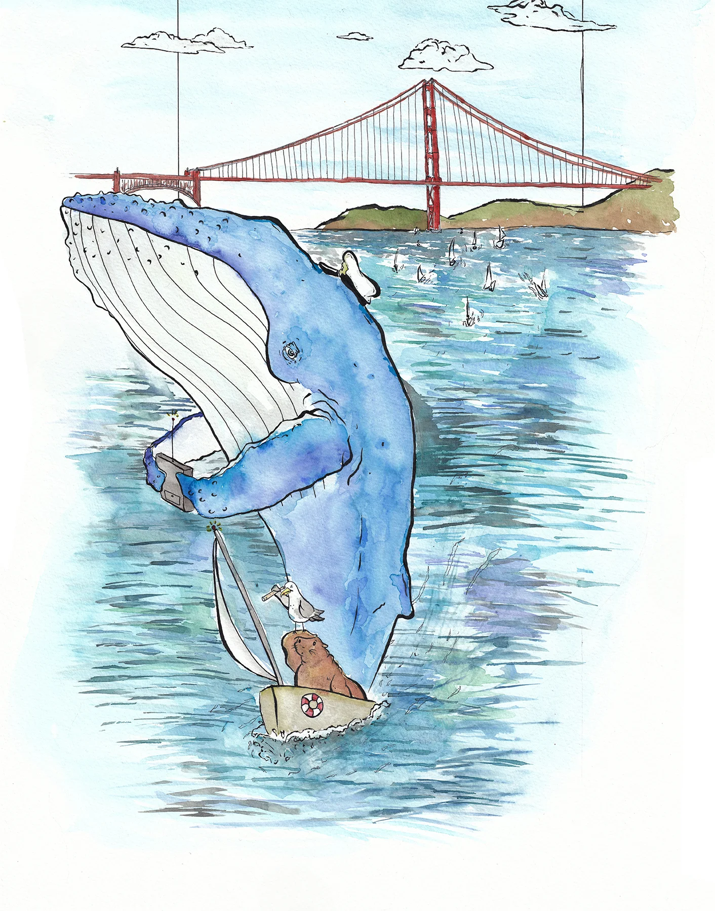 Humpback Whale Race on the Bay