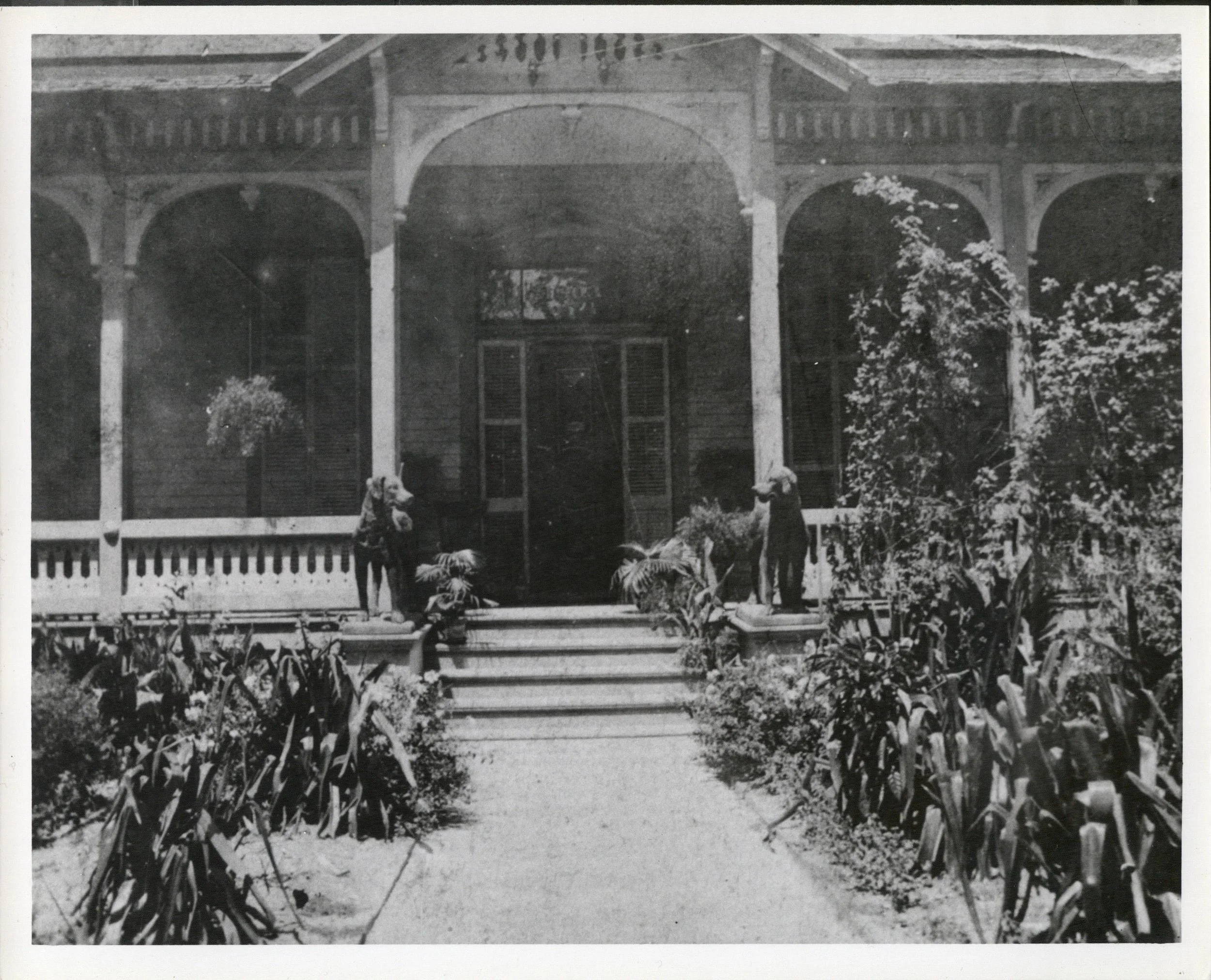historic photo of the pillot house with the dogs standing guard.