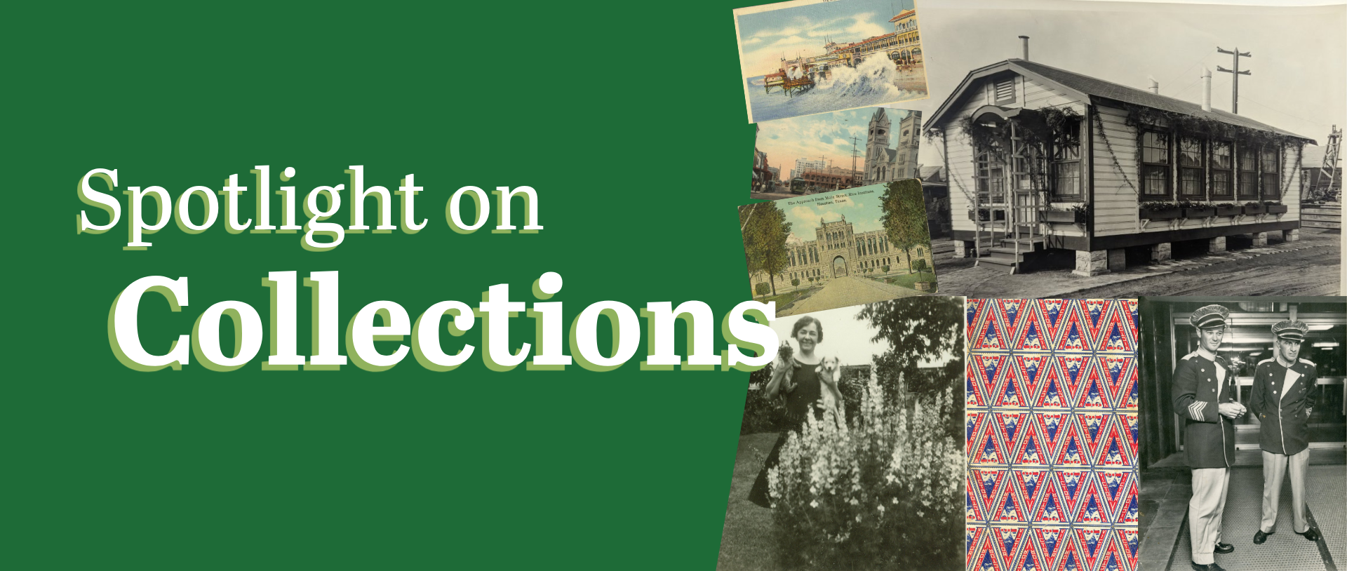 spotlightoncollectionsheader (1).png