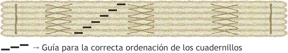 Guía ordenación moderna.jpg