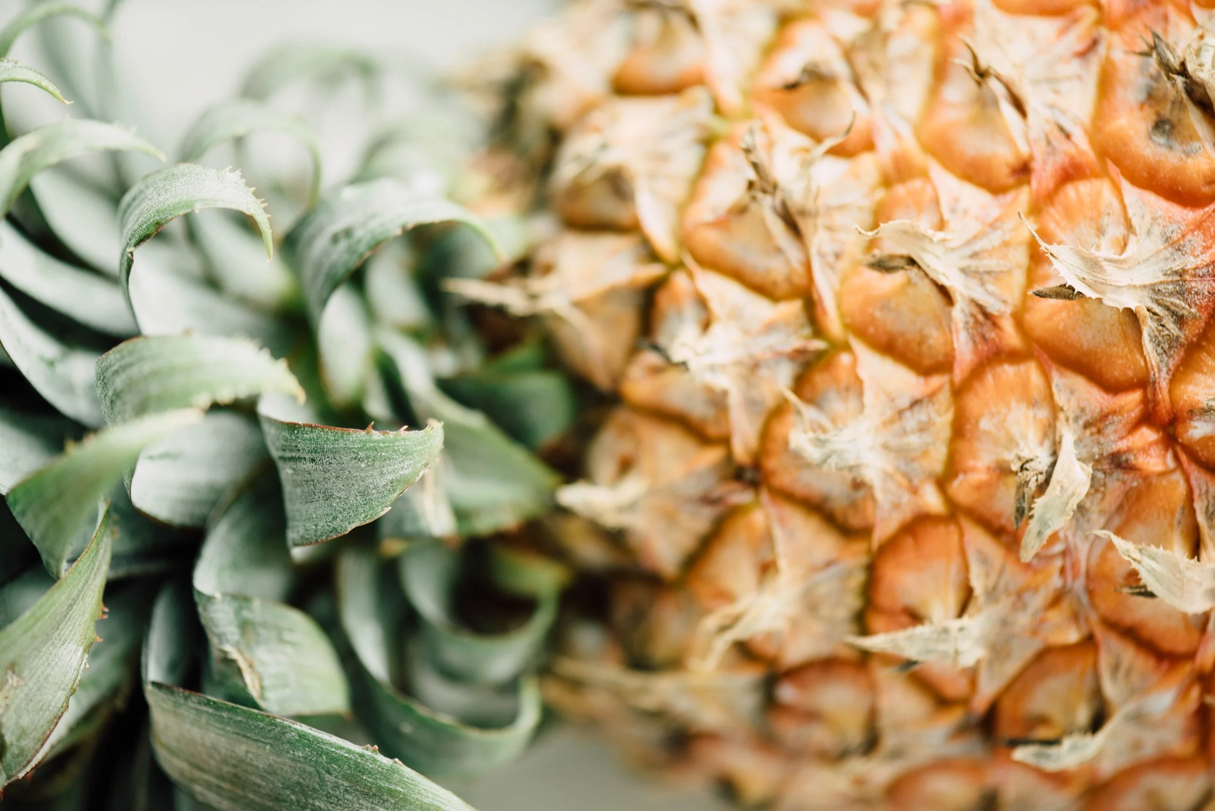 Did you know that pineapples are a symbol of warmth and welcome? They're also great for digestion, reducing inflammation, and clear skin!