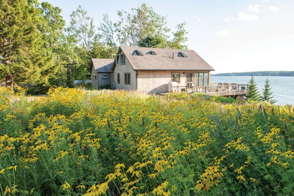 Pollinator Haven