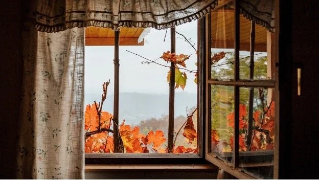 Healing Fall Fiction