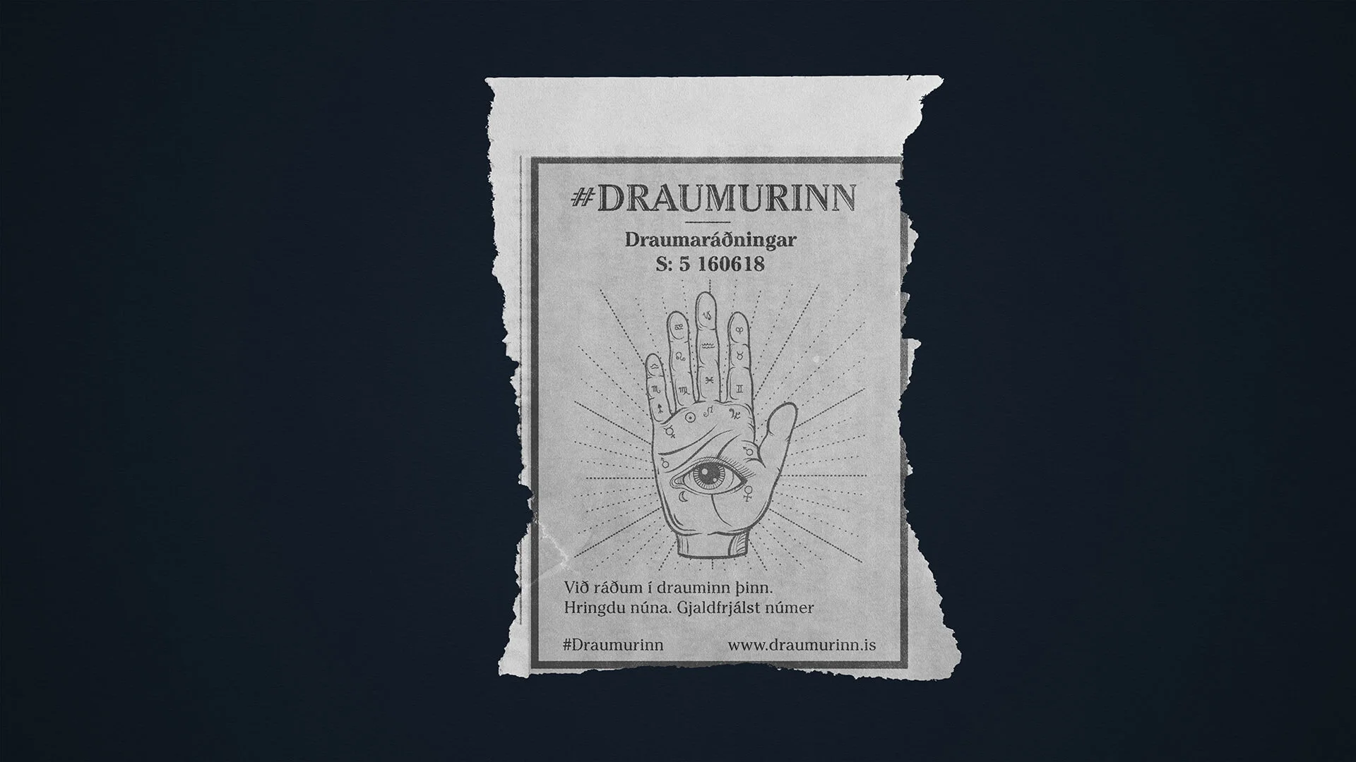 draumurinn-smaaugl.jpg