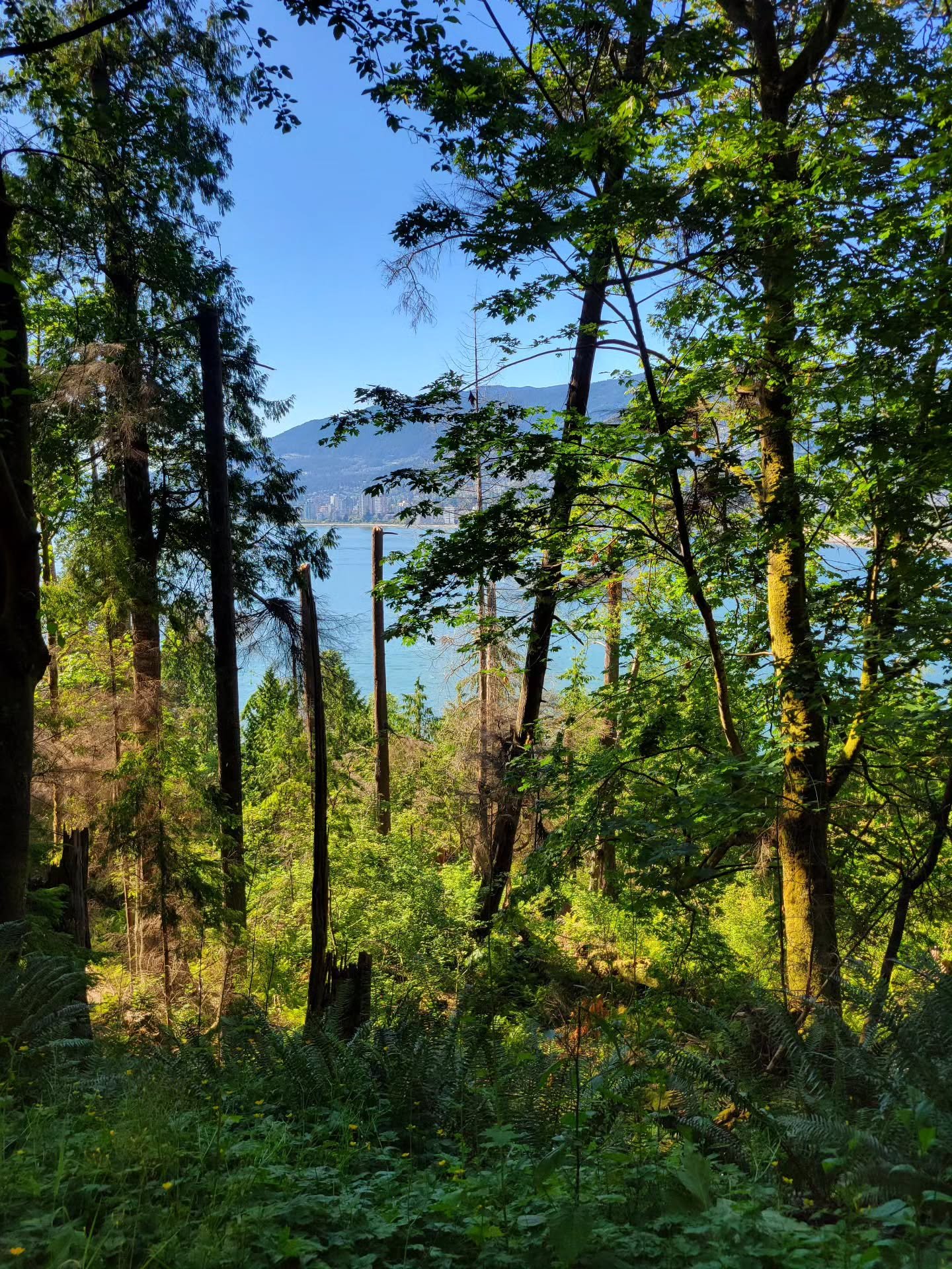Taking the scene route to Sylvia.