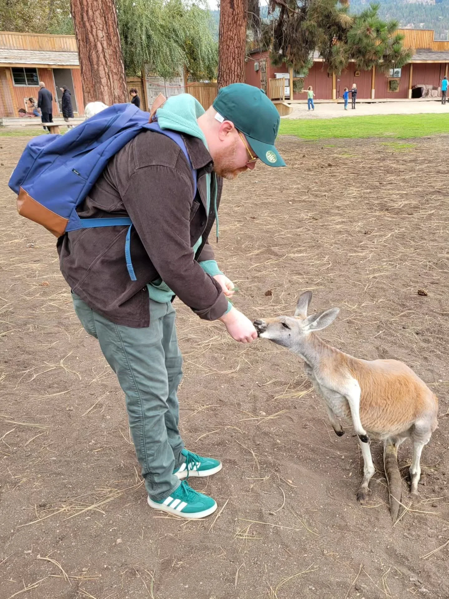 Just a couple of gays feeding kangaroos.