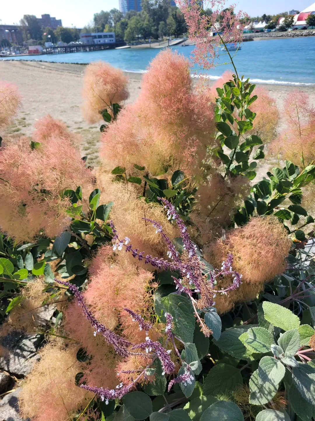 September at Sunset Beach.