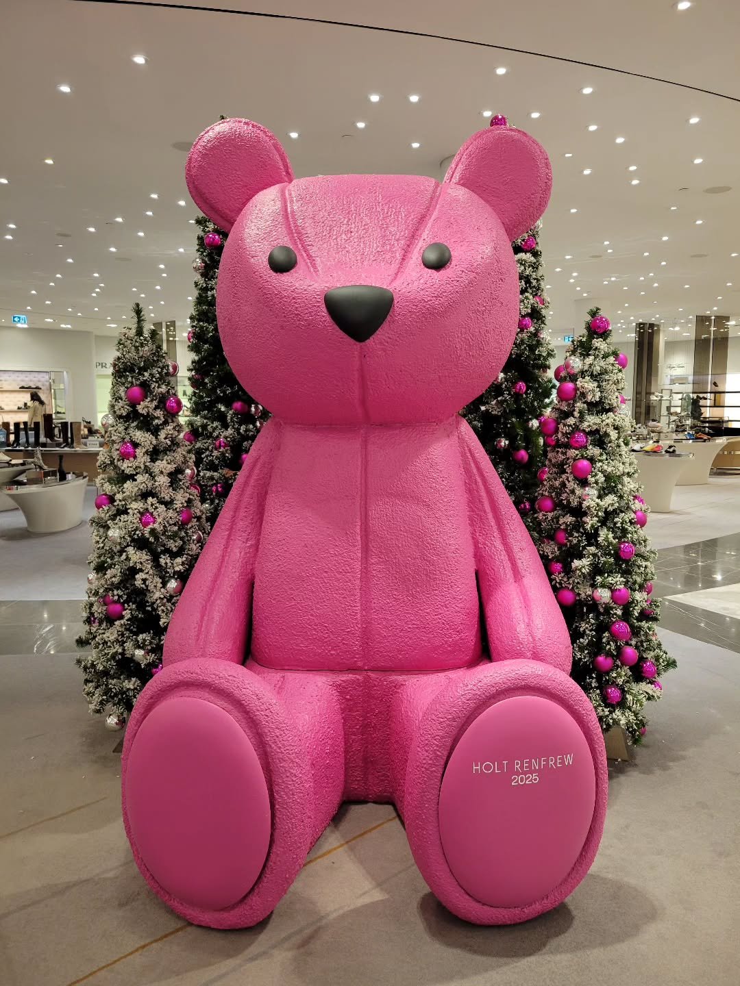 Tanner asked for a shopping spree while walking through Holts. I told him I would take him to Dollarama.