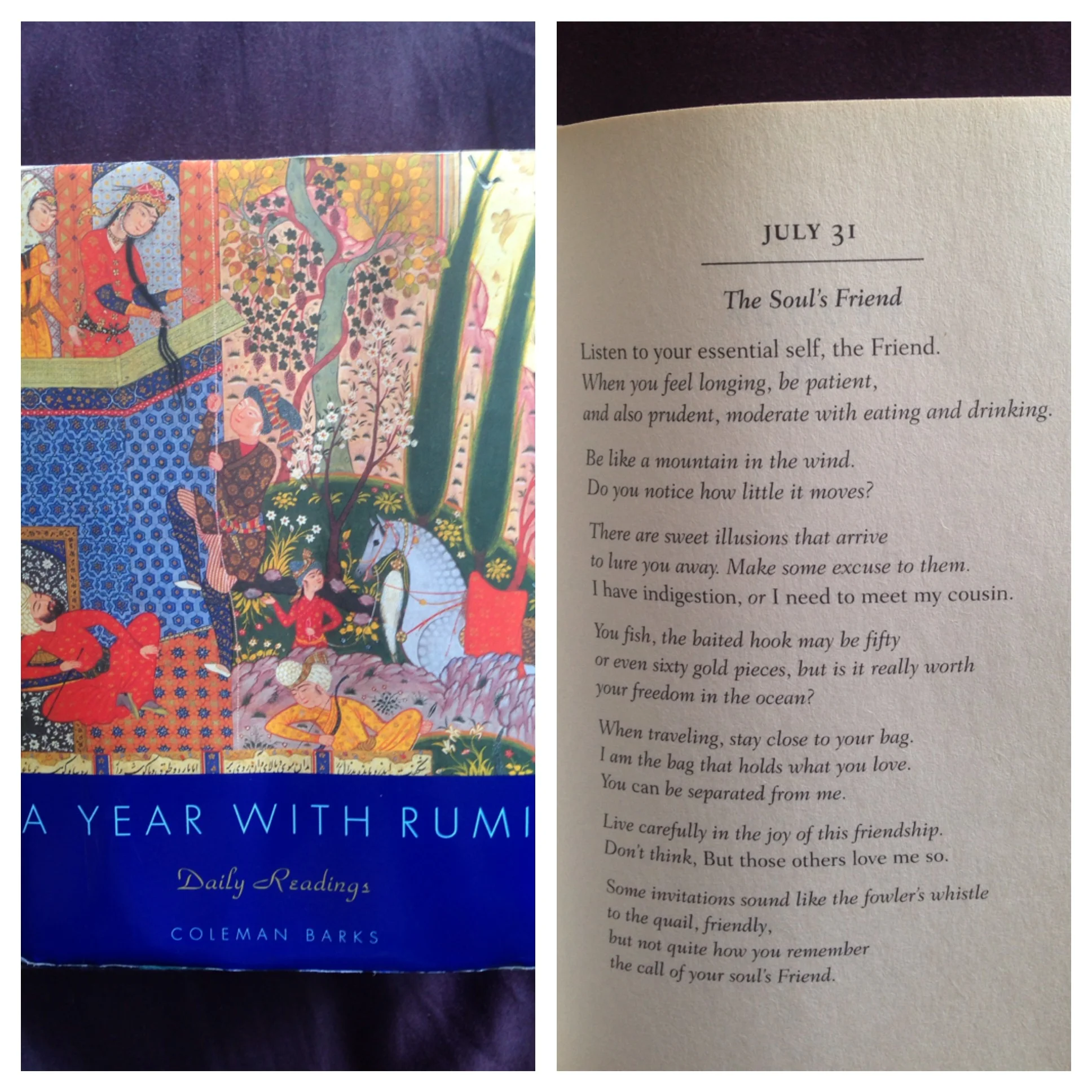 I swear I didn't plan the idea for this blog post to coincide with the date of this poem! I make it a point to never read ahead in this poetry book so that each and every morning I can be surprised at how clearly this book speaks to me and my spirit (not to sound all Oprah like but...really!) This is the perfect poem for anyone seeking to find their passion or authentic self, which really, isn't that everyone at some point in our lives?