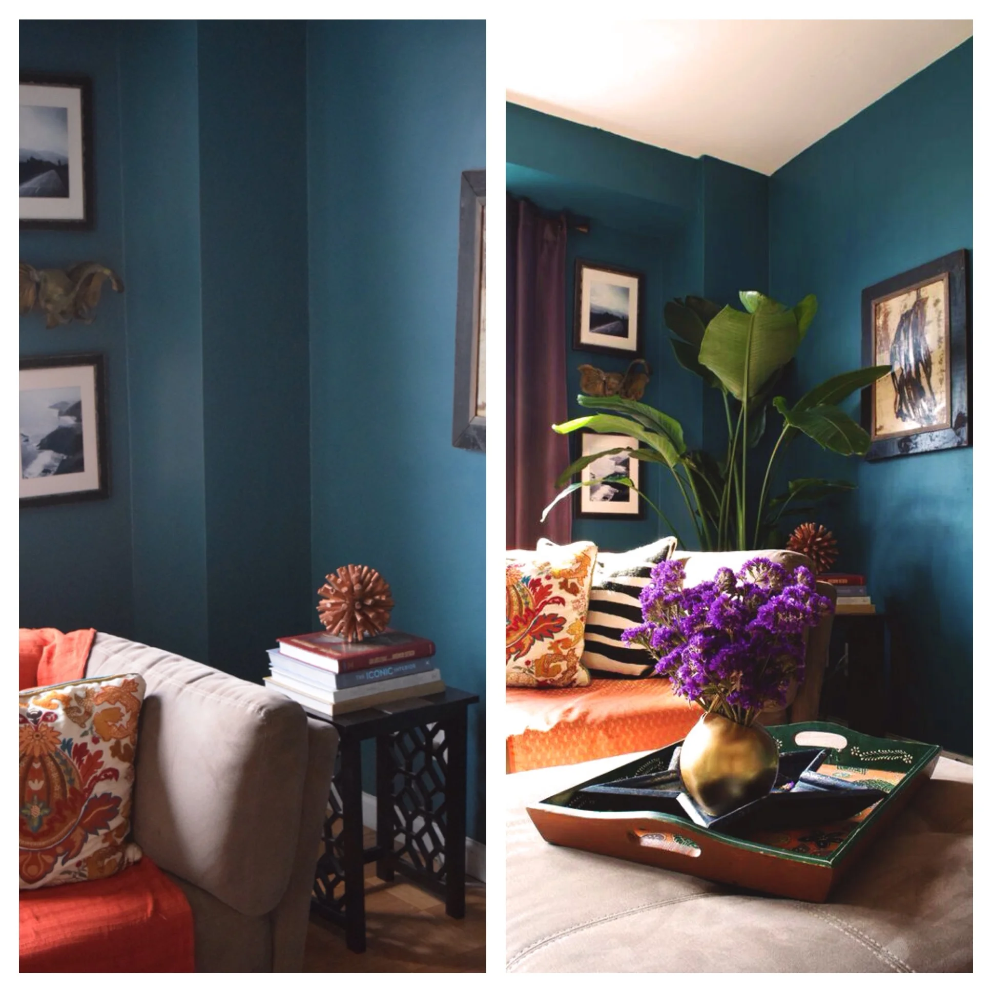 On the left is the sad and empty living room corner and on the right is the perfect plant creating a beautiful corner vignette. 